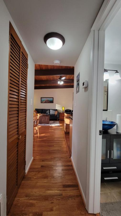 Entire One Bedroom Apartment Annandale Luaran gambar