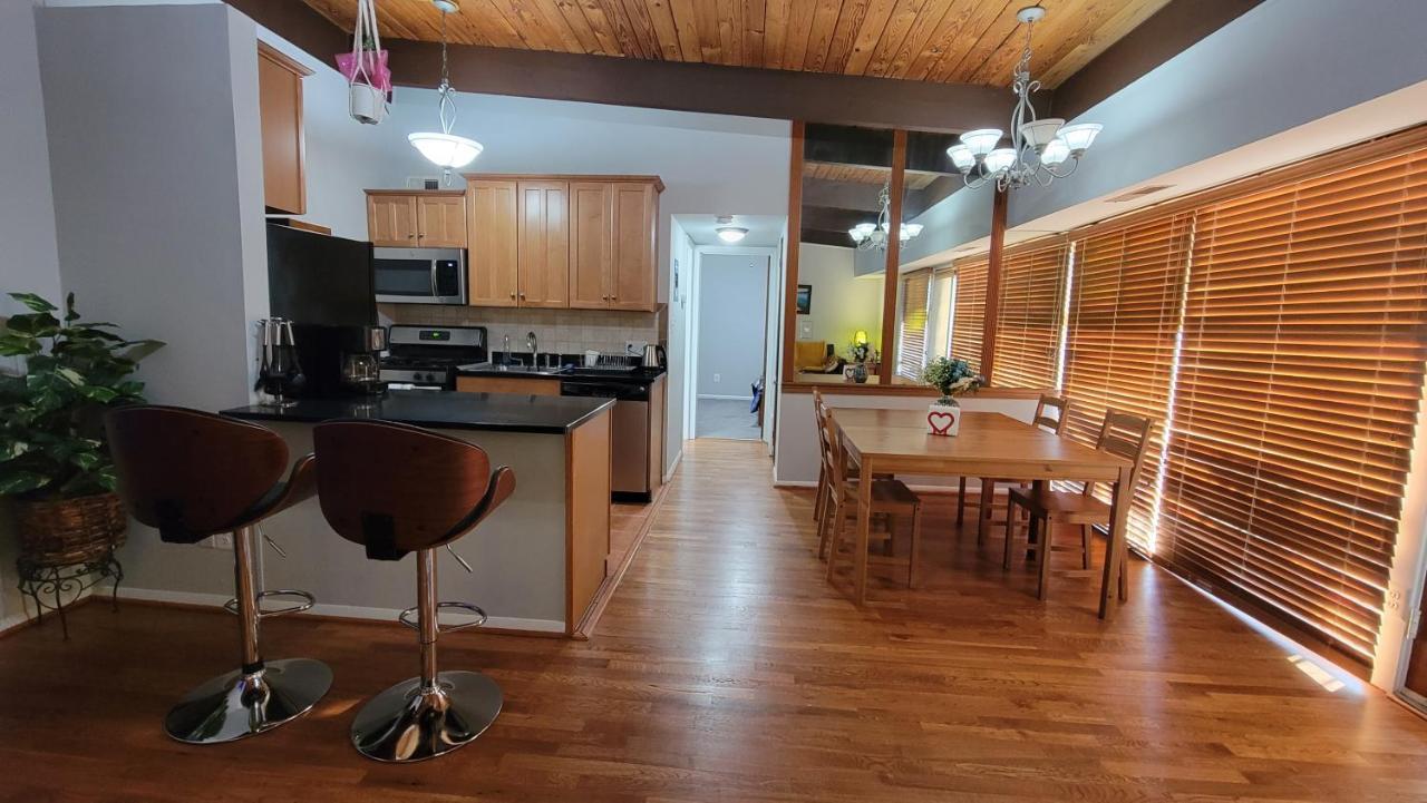 Entire One Bedroom Apartment Annandale Luaran gambar