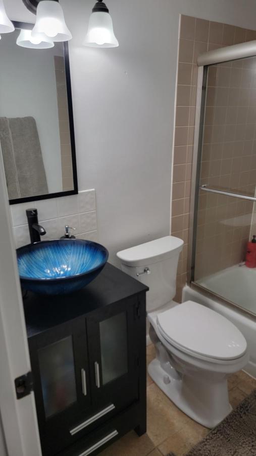 Entire One Bedroom Apartment Annandale Luaran gambar